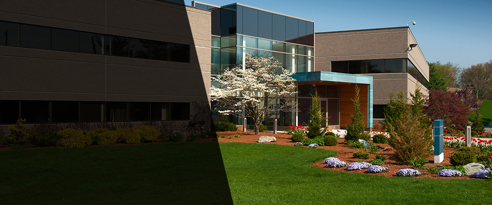 Ecru Landscapers