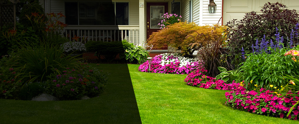 Ecru Landscapers