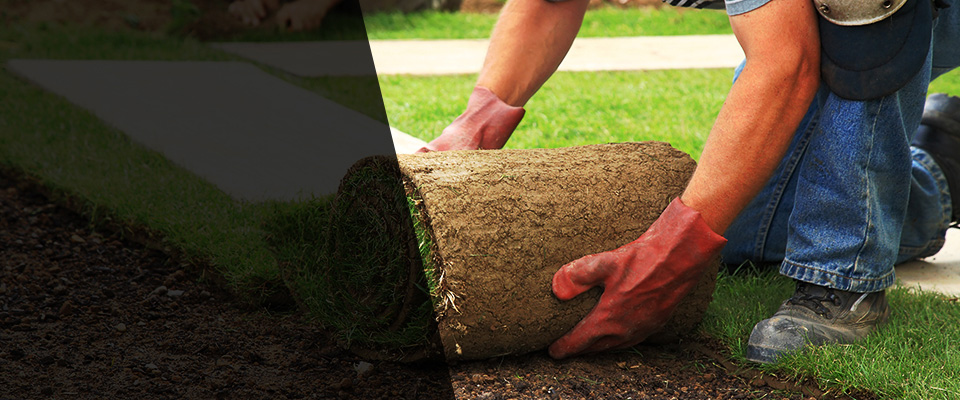 Ecru Landscapers